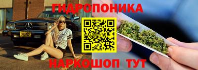 крисы Конаково