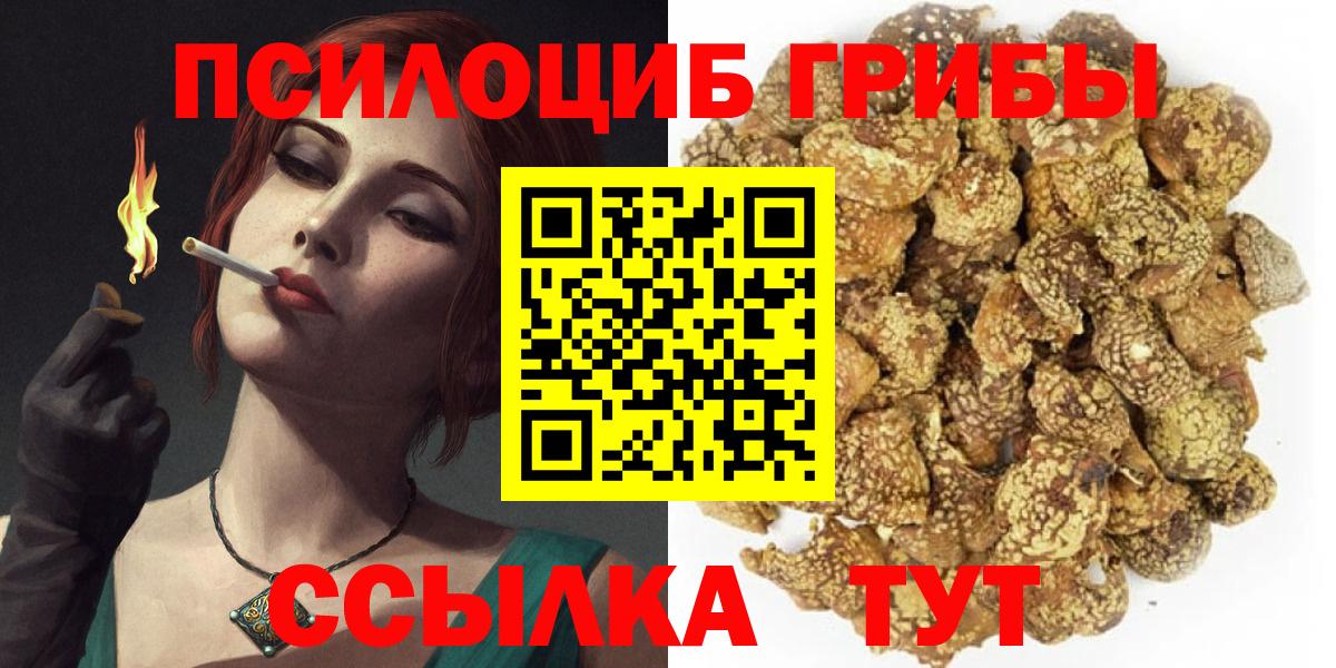 Псилоцибиновые грибы мухоморы  Вход с VPN  Костомукша 