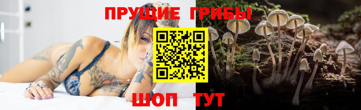 Галлюциногенные грибы Cubensis Костомукша