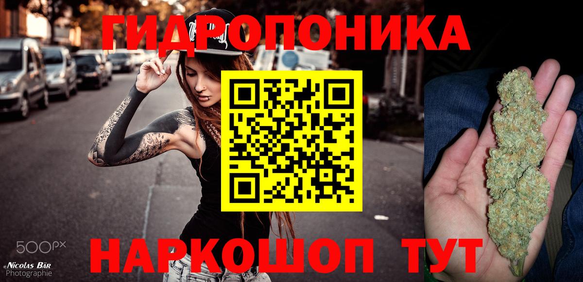 Канабис Amnesia  Шишки марихуана OG Kush  Шишки марихуана THC 21%  Вход с VPN  Костомукша  Шишки марихуана OG Kush 